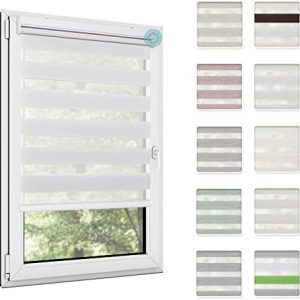 Allesin Elektrische Doppelrollo 45-120cm, Fernbedienung, Sichtschutz für Fenster, Alexa-kompatibel