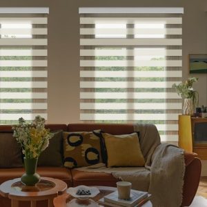 Allesin Wiederaufladbare Elektrische Doppelrollo für Schlafzimmer, Lichtdurchlässig, Fernbedienung & Smart Home kompatib